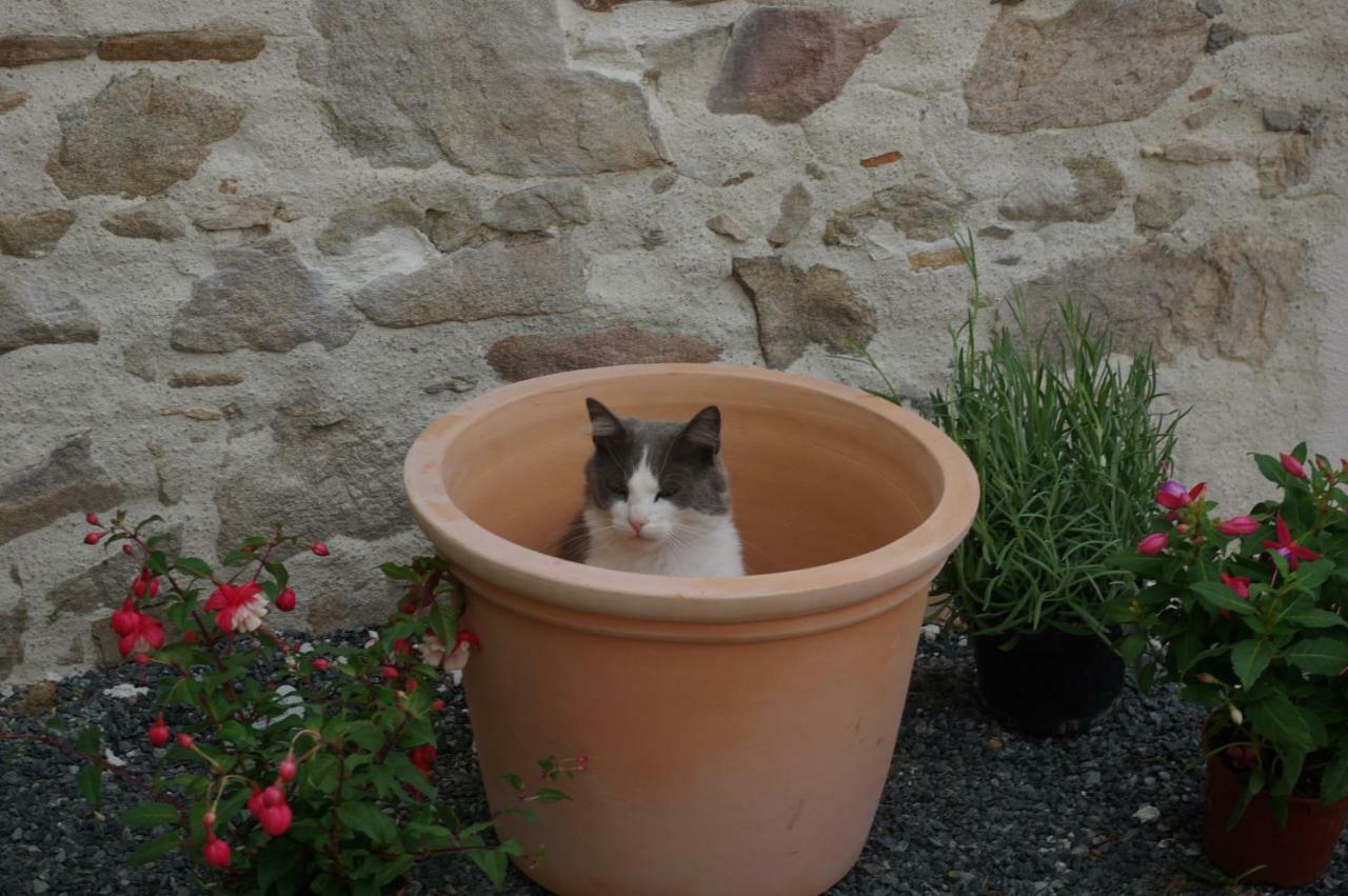 Les Trois Etangs Bed and Breakfast Saint-Viaud Εξωτερικό φωτογραφία
